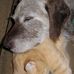Nan Allison Stone - Facebook