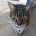 Nan Stone - Facebook