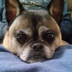 Nancy Stroud - Facebook