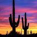 Nancy Summers - Facebook