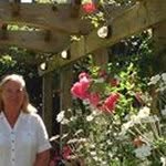 Nan Thomas - @nanthomas1614 - Instagram