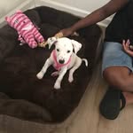 Nan Thompson - @npthompson12 - Instagram