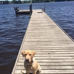 Nan Thompson Howard - @nan_howard - Instagram
