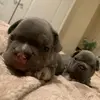 nannywarren - @nannywarren - TikTok