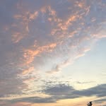 Nan Webb - @nanwebb57 - Instagram