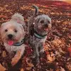 Nancy Webber - @nancy.webber2 - TikTok
