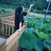 Nan Wei - Facebook