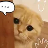 ‿✶NᎯℕ︵✰ - @nanwhite - TikTok