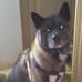 Nan White - Facebook