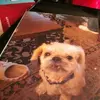 Nancy Whitney - @nancy.whitney0 - TikTok