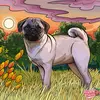 Nancy Whitney - @user2929144167060 - TikTok