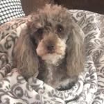 Nana _Bailey - @nanabailey04 - Instagram