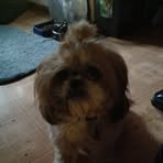Nana Barton - Facebook
