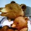 nanabearbarton - @nanabearbarton - TikTok