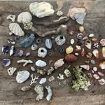 Roshana Blakeley - @nanablake_ - Instagram