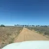 nana boyd - @nana.boyd0 - TikTok