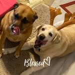 Nana Mitchell - @furbabies_momma - Instagram