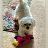 nancyglanz - @nancyglanz - TikTok