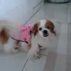 Nanci Lopes - @nanci.lopes12 - TikTok