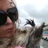 Nanci Lopes - @nancilopes3 - TikTok