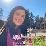 Nancy López TERAP. HOLÍSTICA - @nancylopezterapeutaholistica - Instagram