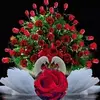 Nanci Perez - @nanci.perez957 - TikTok