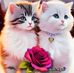 Nanci Ramirez - Facebook