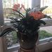 Nancy Amberg - Facebook