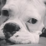 nancy_abalos1960 - @nancy_abalos1960 - Instagram