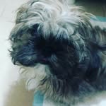 Nancy Abalos - @abalosnancy - Instagram