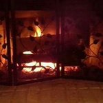 Nancy Abee - @momabee75 - Instagram