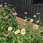 Nancy Abernathy Bower - @nab1153 - Instagram