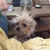 nancyabnercohen - @nancyabnercohen - TikTok