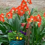 Nancy Abney Gilbert - @abneygilbert - Instagram
