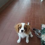 Nancy Abramo - @abramonancy - Instagram