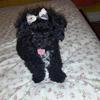Nancy Abre - @nancyabre - TikTok