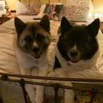 Nancy Acheson-Smith - @kody_bella - Instagram
