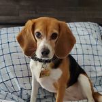 Nancy Acker - @mommadwo - Instagram