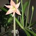 Nancy Ackerman - Facebook