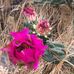 Nancy Ackman - Facebook
