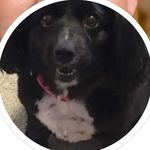 Nancy Agan Stanton - @nancyaganstanton - Instagram