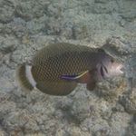 Nancy Akerley - @nancyakerley - Instagram