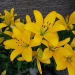 Nancy Akers - @nancy.akers.752861 - Instagram