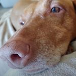 Nancy Wietecha Akers - @akers6797 - Instagram