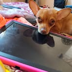 Nancy Alanis - Facebook