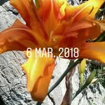 Nancy Alarcon - @nancy.alarcon.180 - Instagram
