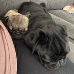 Albie & Nancy 💙 - @albus_and_nancy - Instagram