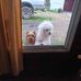 Nancy Alcala - Facebook