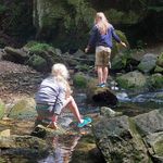 Nancy Alderson - @nancyalderson - Instagram