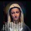 Nancy Alfonso - @nancyalfonso619 - TikTok